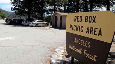 Red Box Picnic Area - Angeles National Forest